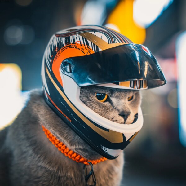 Cascos para mascotas DIY, casco para gatos, casco para perros, minigorro seguro para proteger la cabeza al aire libre, accesorios para fotos de mascotas, mini casco de motocicleta