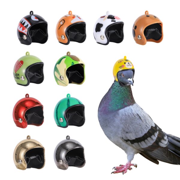 Casco para loro, sombrero para Paloma, equipo protector para mascotas, protector solar, casco para lluvia, pájaro de juguete, suministros para mascotas pequeñas, accesorios de ropa