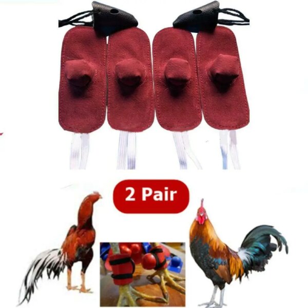 Manopla de Gallo Para Gallos, casco de gallina, protección de lucha, animales de granja, Pollas, accesorios para gallinero, 4 Uds.